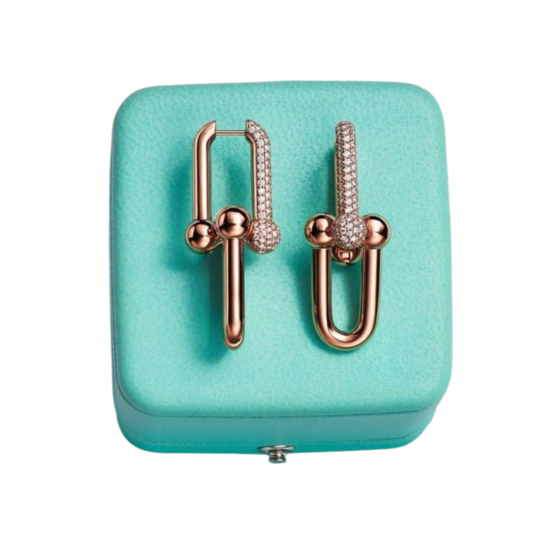 Elenza Earing